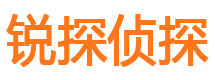 武川调查公司